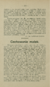 Cechowanie matek